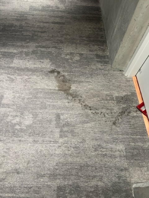 Super pooper subtitle